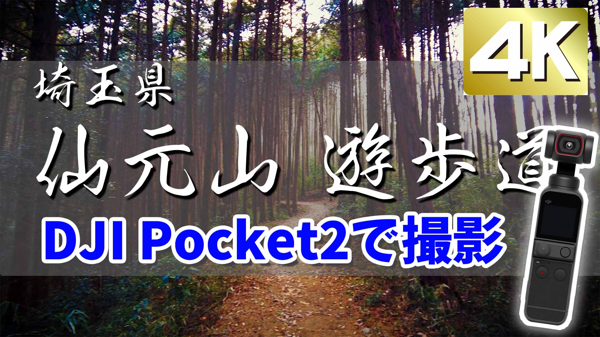 DJI Pocket2 4K撮影